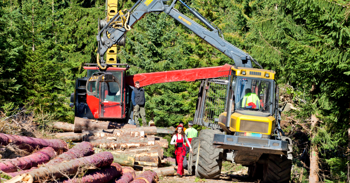 Injury Prevention Within the Logging Industry - Work-Fit