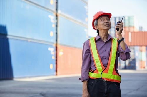 65494149b247e8d5e2393236 shutterstock 2181006111201