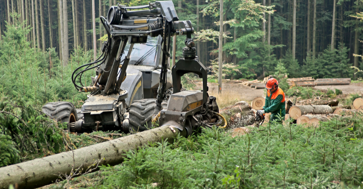 logging machine in use