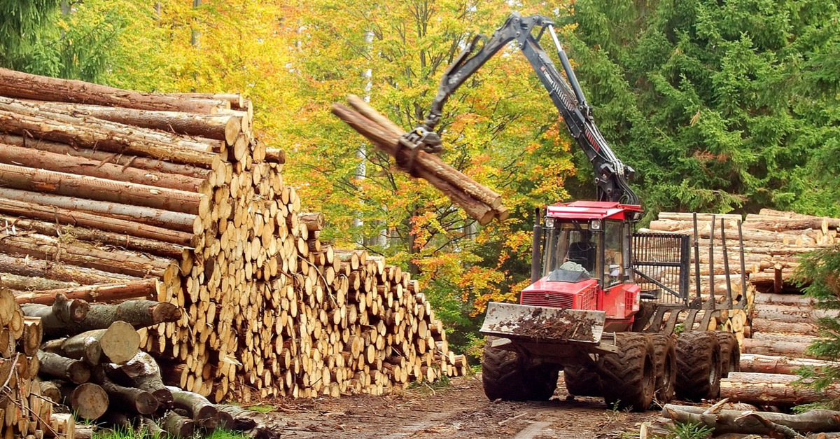 logging machine in use