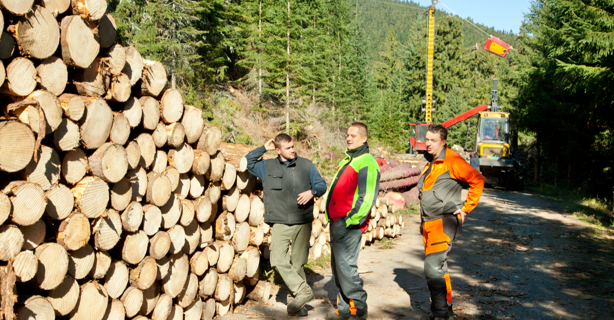 three workers standing in front of logs