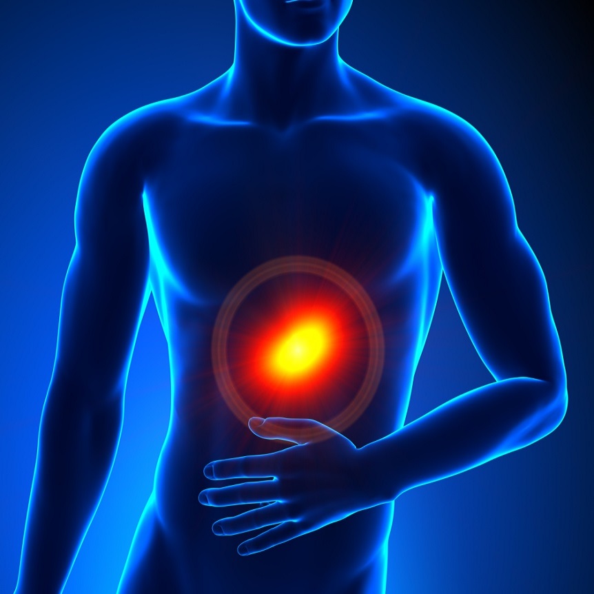 Abdominal & Core 1 abdomen skeleton highlight