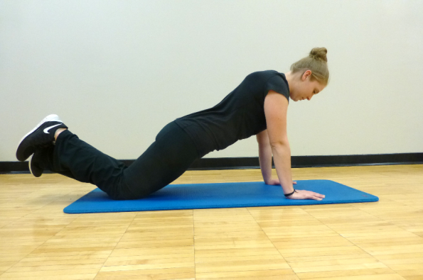 Abdominal & Core 14 front plank exercise