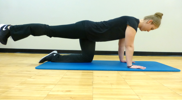Abdominal & Core 18 bird dog exercise