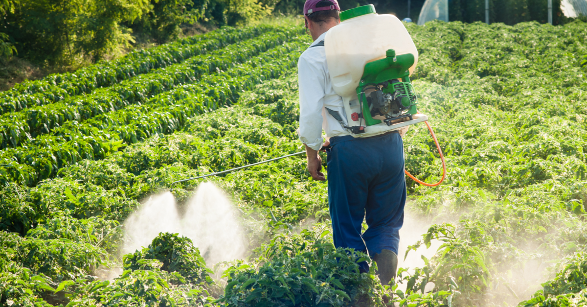 man spraying pesticides in a field