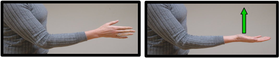 Elbow 16 good elbow posture