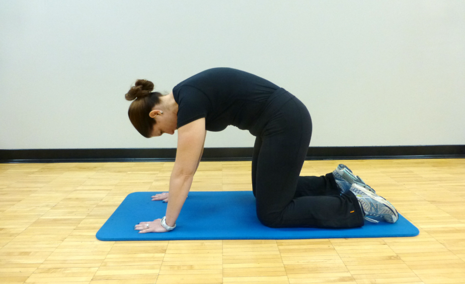 Lower Back 6 cat stretch