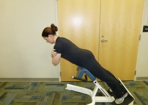Lower Back 11 back extension exercise