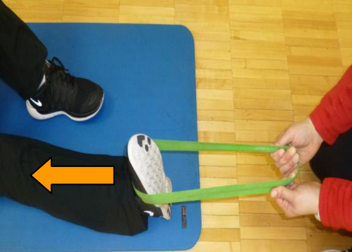 dorsiflexion theraband exercise
