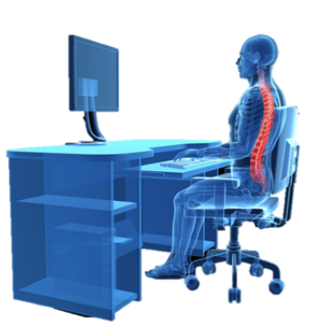 skeleton sitting in chair proper back alignment 