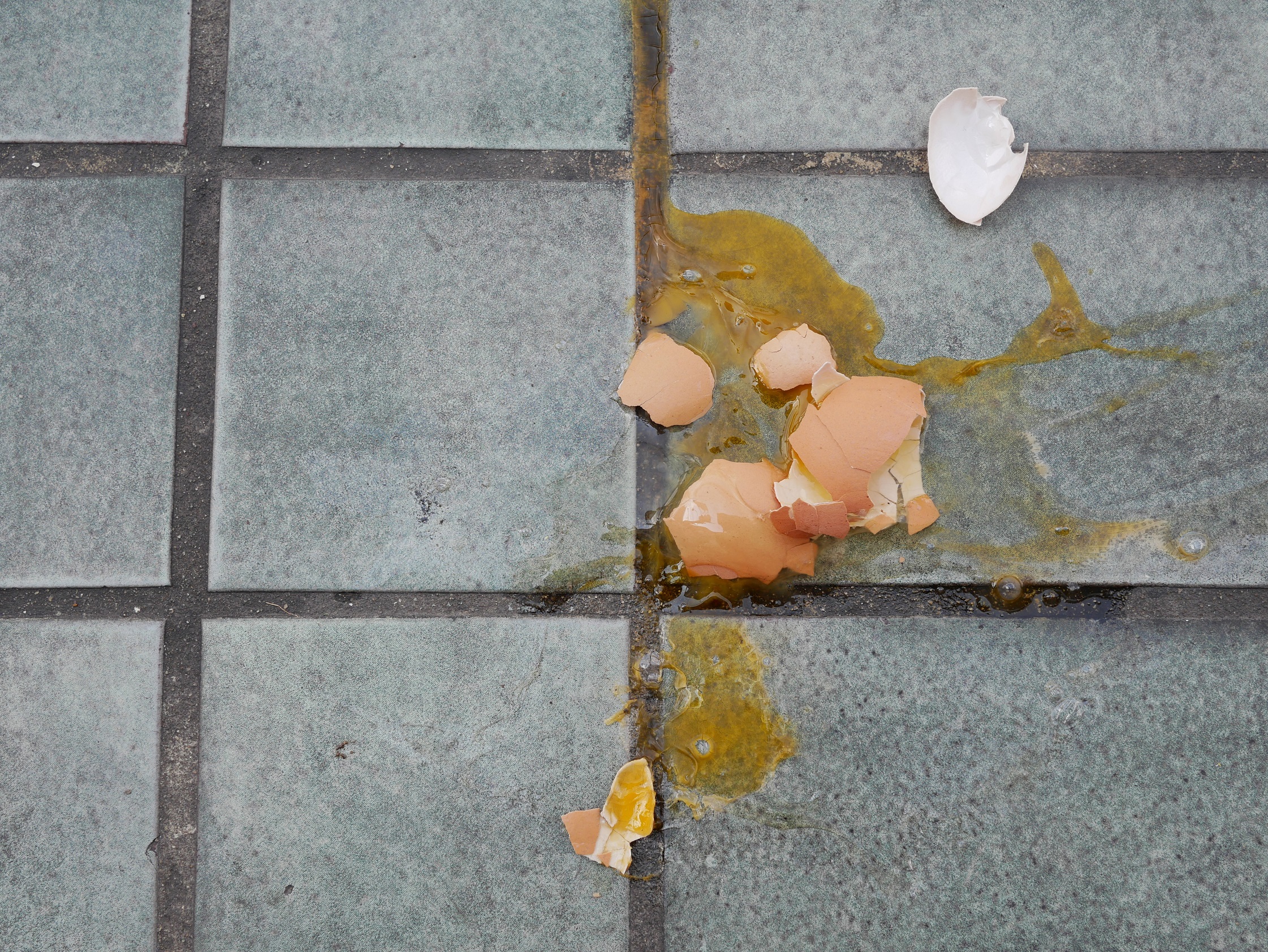 egg smashed on the ground